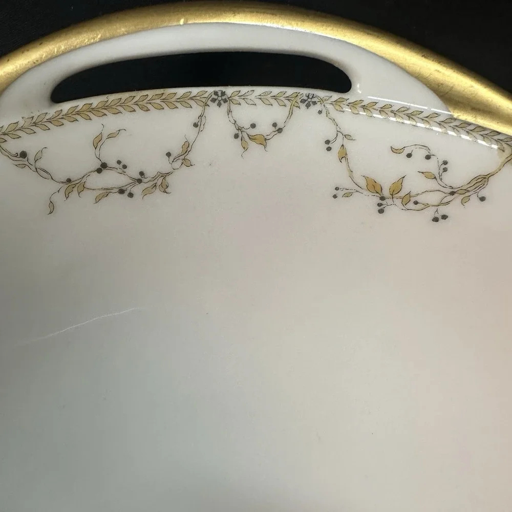 Haviland & Co. Limoges 9